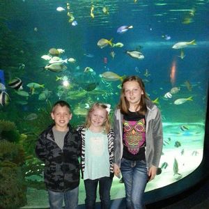 Meet your Posher, Preston